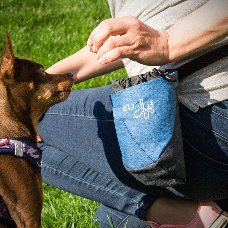 Boutique Pet Curli Snack and Treat bags for Dog Training