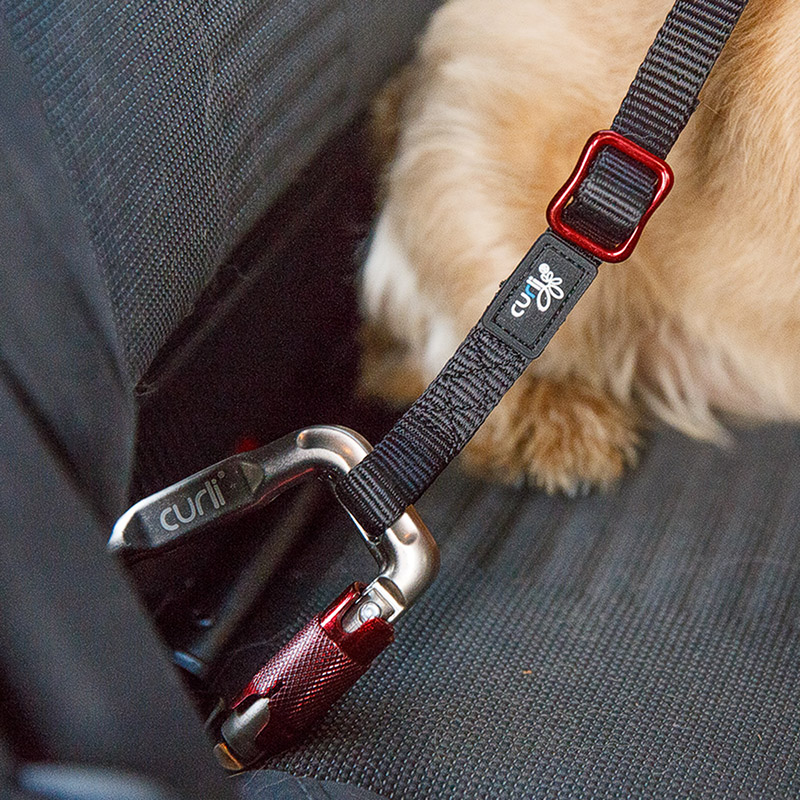 Curli Car Safety Belt for Dogs