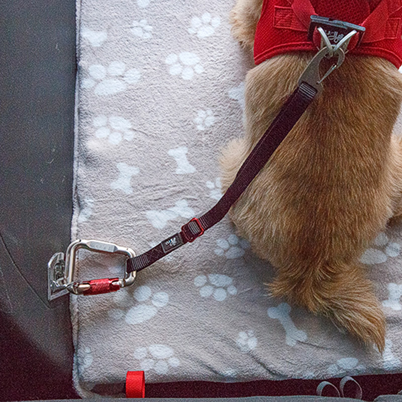 Curli Car Safety Belt for Dogs