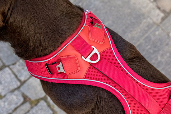 Boutique Pet supplies Air-Mesh Harness for Dogs