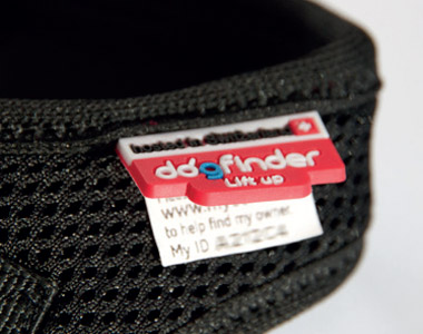 Dogfinder by Boutique Pet Supplies
